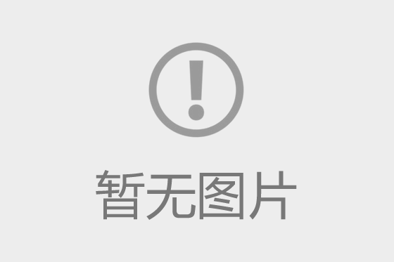 湖南财鑫集团第一党支部：助力优化营商环境 信心满满干劲十足